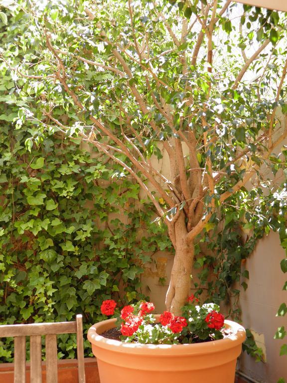 Suitur Courtyard Apartment Barcelona Buitenkant foto